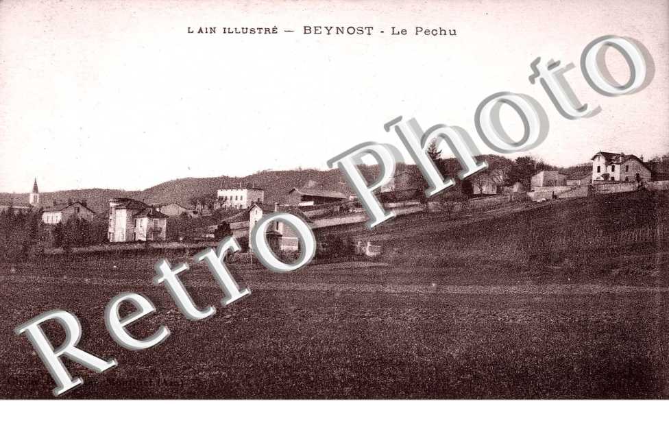 Le pechu