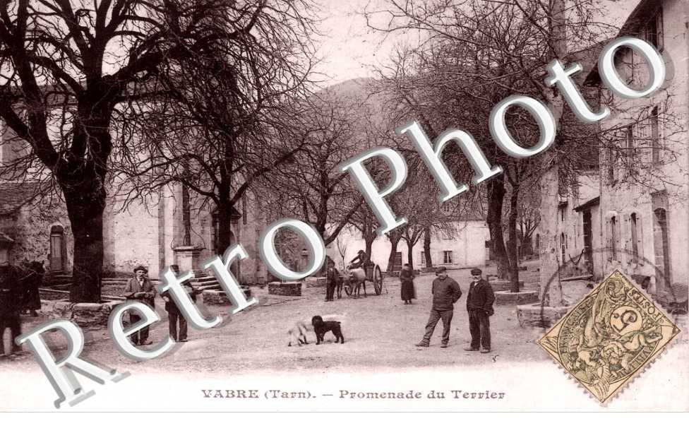 PROMENADE DU TERRIER