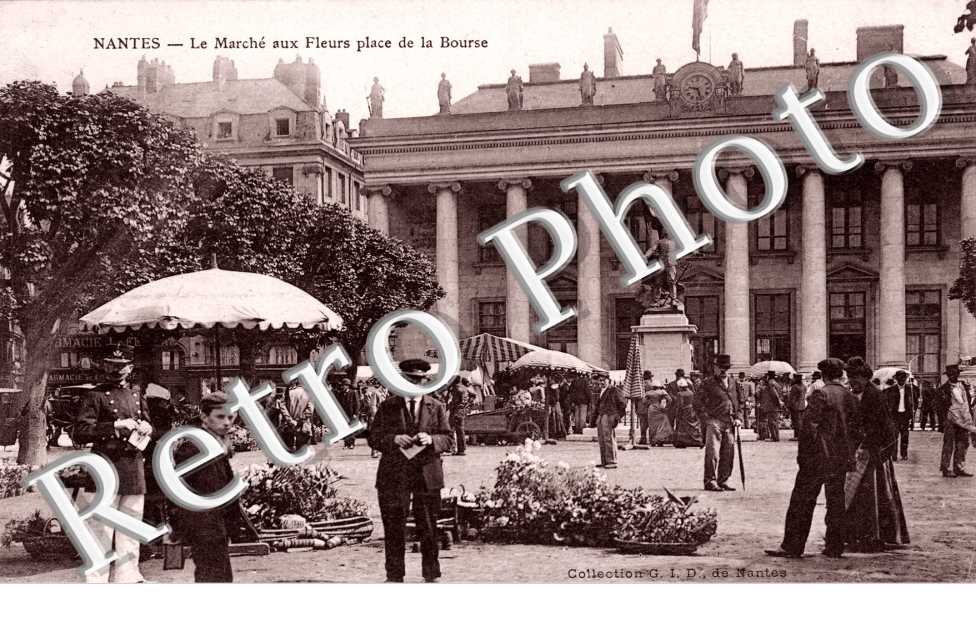 le marche aux fleurs place de la bourse
