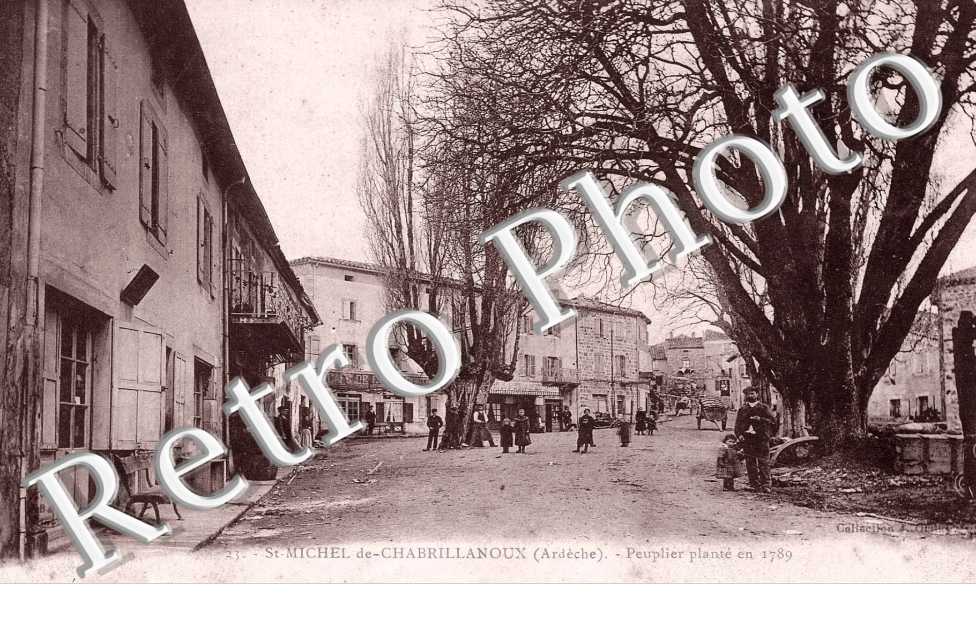 Peuplier Plante en 1789