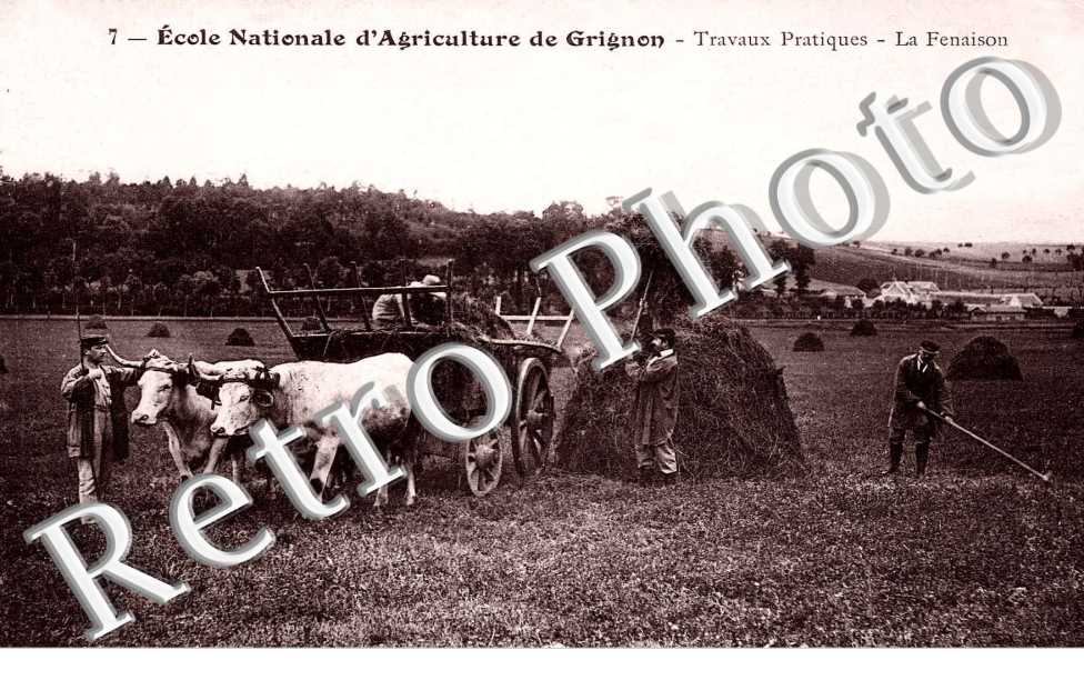 ECOLE NATIONALE AGRICULTURE DE GRIGNON