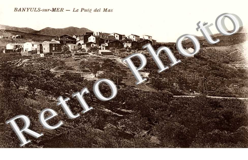 Le Puig del Mas