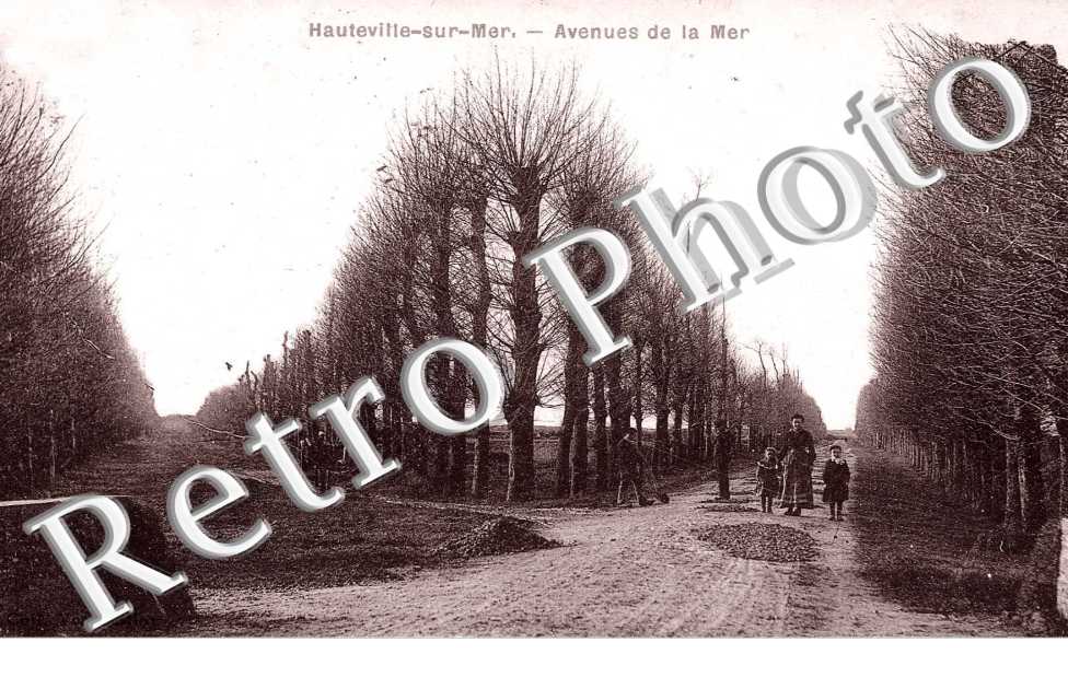 avenues de la mer