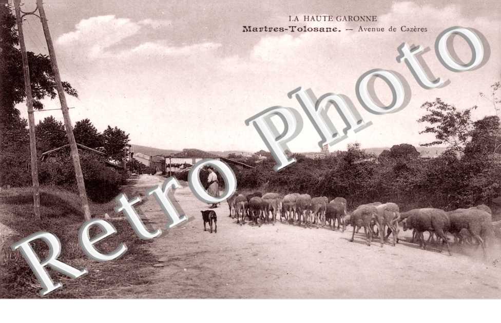 avenue de Cazeres