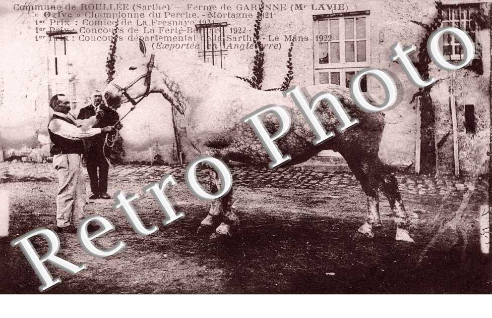 ferme de la Garenne 'Mr. Lavie)