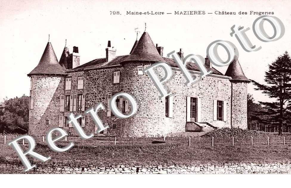 Chateau des Frogeries