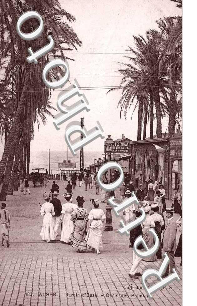 Jardin d'essai - Oasis de Palmiers