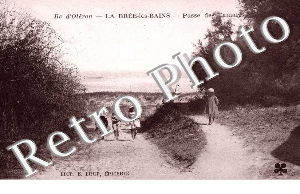 passe des tamaris