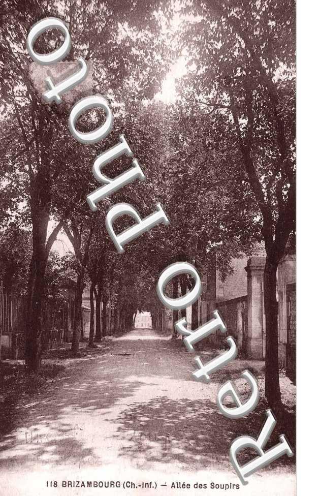 Allee des souprirs