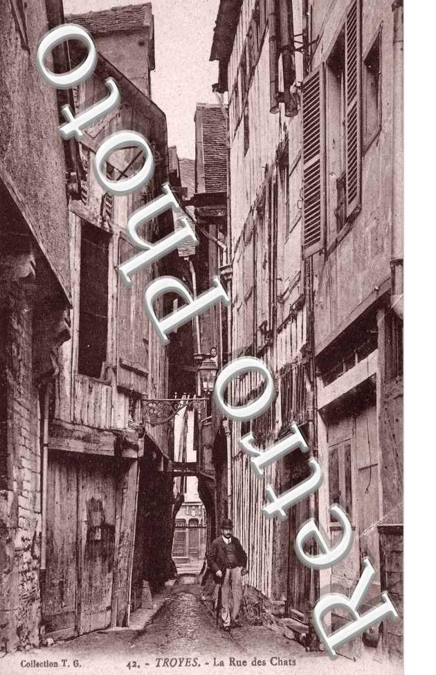 la rue des chats