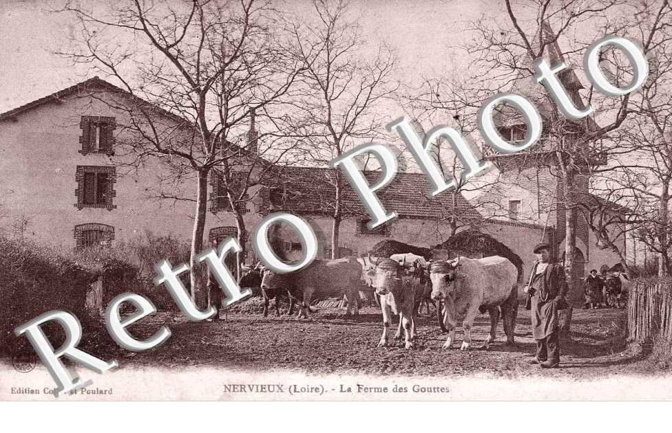La Ferme des Gouttes