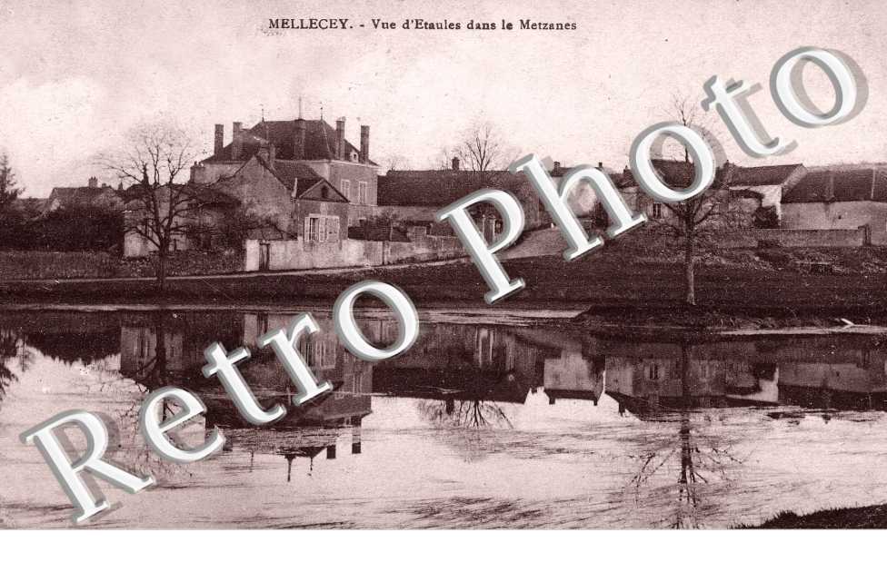vue d'etaules  dans le metzanes
