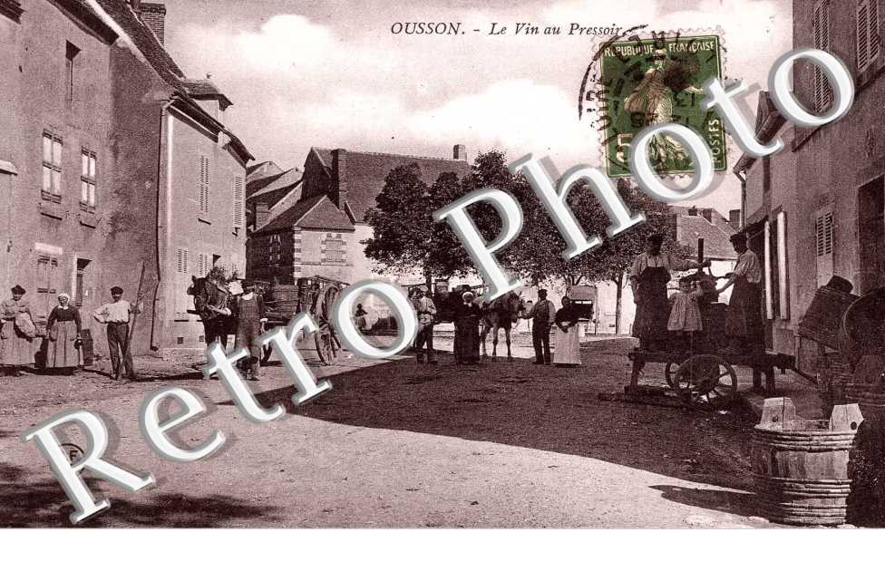 Le vin au pressoir - viticulture