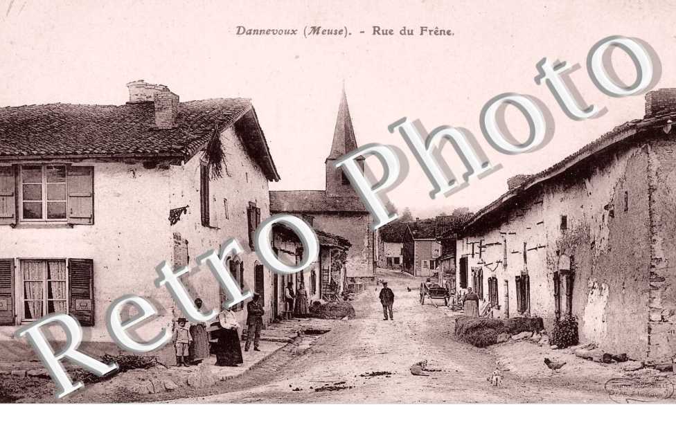 Rue du frene