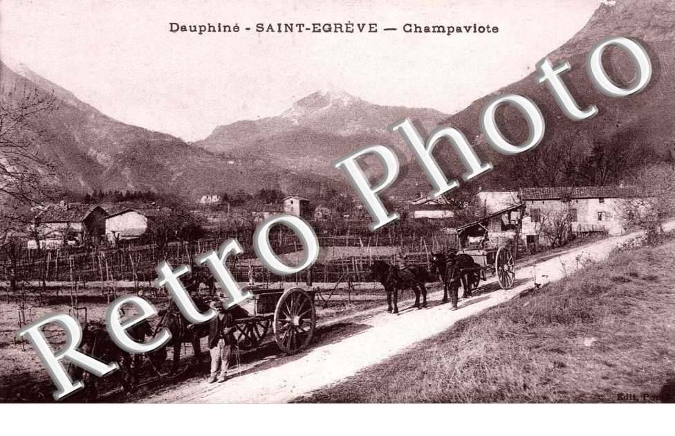 Champaviote