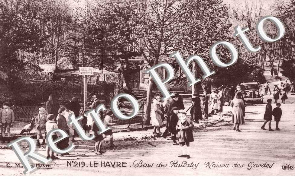 Bois des Hallatef - maisond es gardes