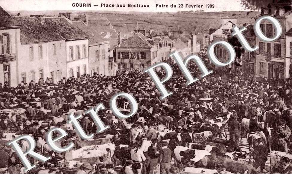 Place aux bestiaux - foire du 22 fevrier 1909