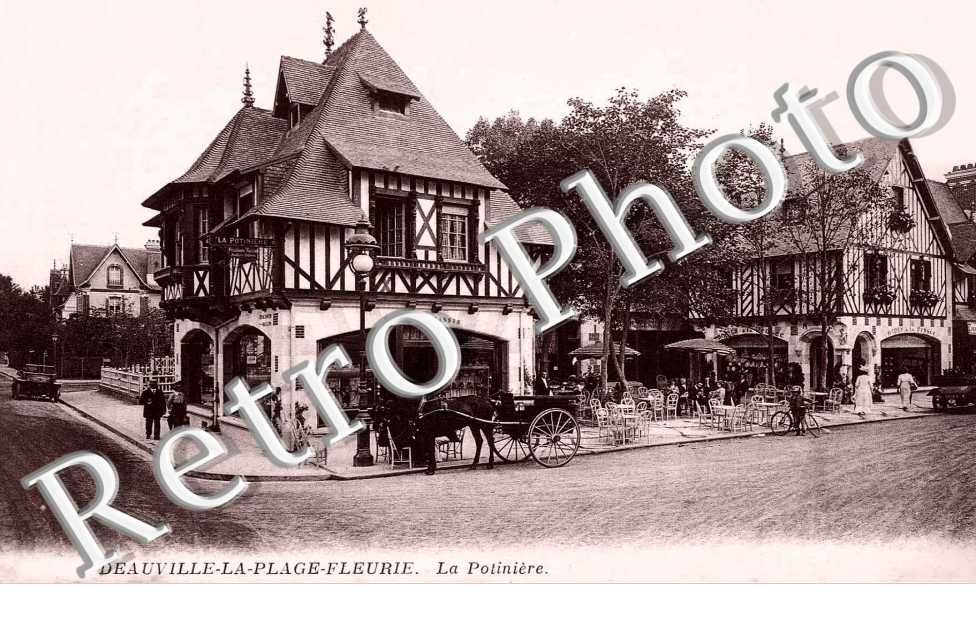 la potiniere