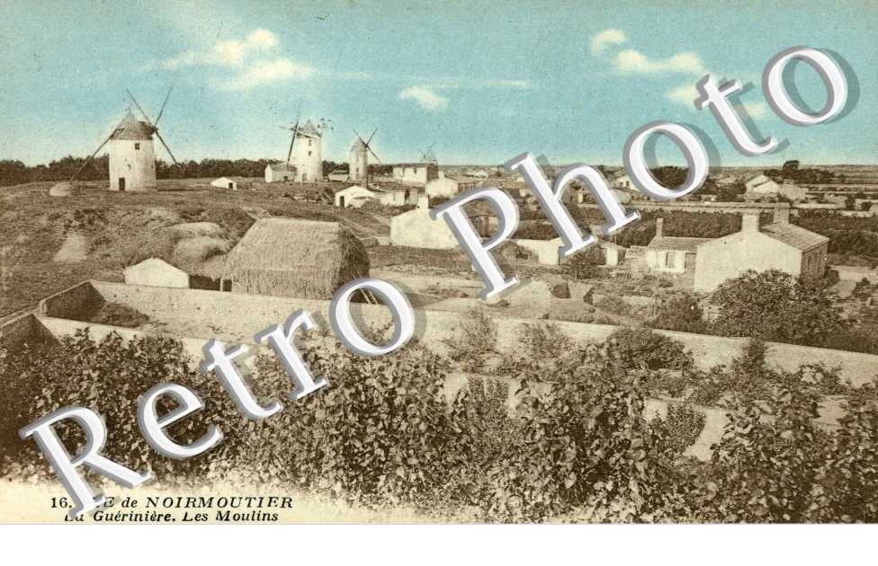 La Gueriniere Les moulins