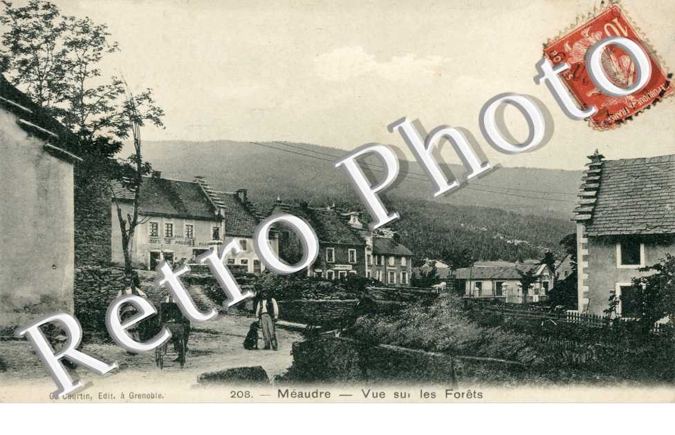 vue sur les forêts