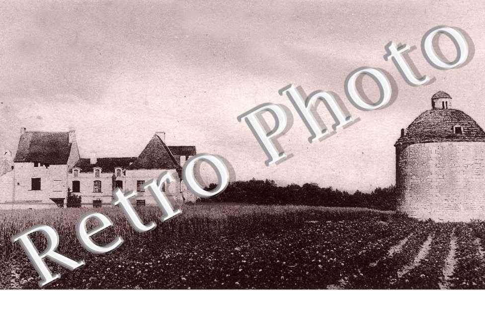 Ruines du chateau de Razilly