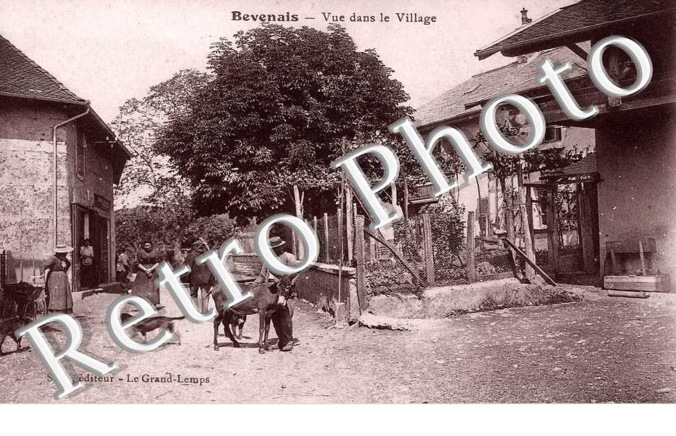Vue dans le Village
