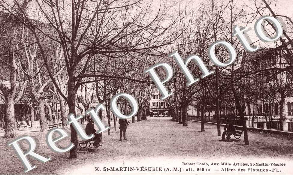 Allée des Platanes