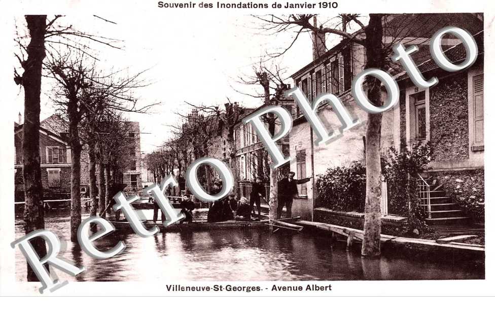 Avenue Albert