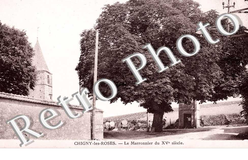 le Marronier du XVeme siecle