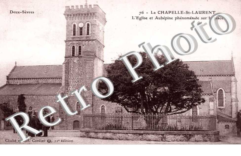 L'eglise et Aubepine phenomenale sur la place