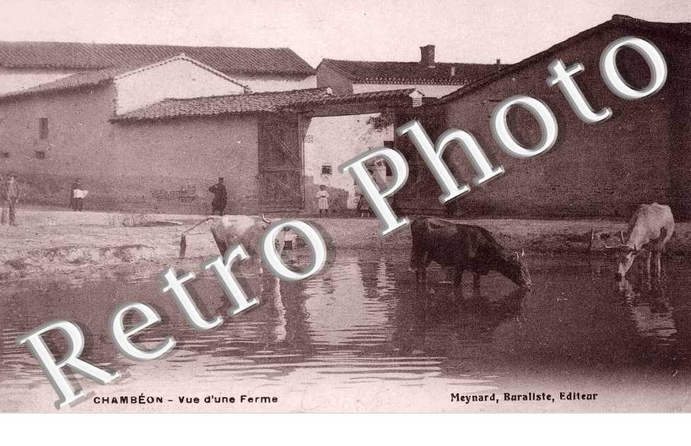 VUE D'UNE FERME