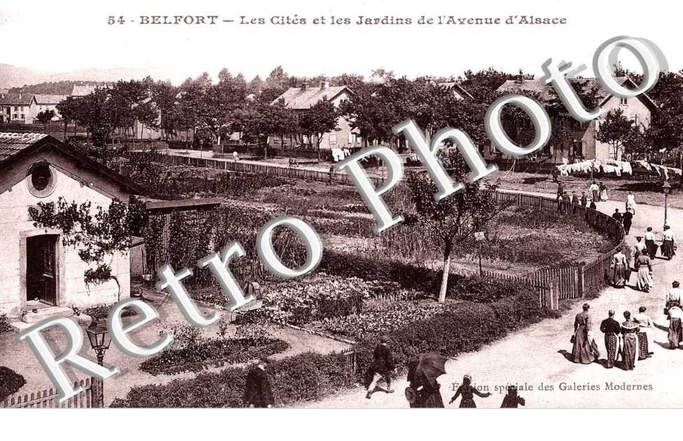 LES CITES ET LES JARDINS DE L'AVENUE D'ALSACE