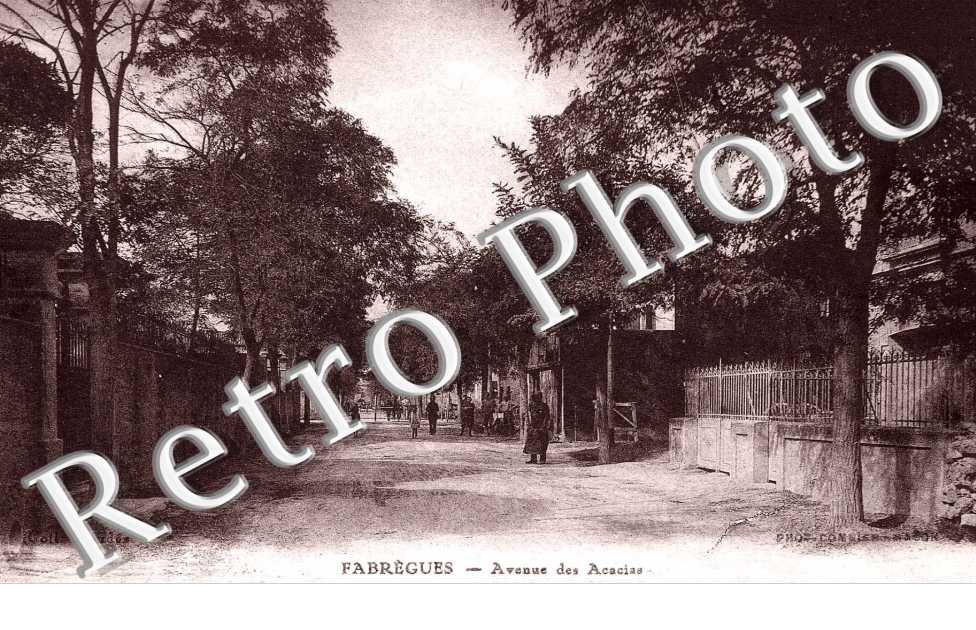Avenue des Acacias