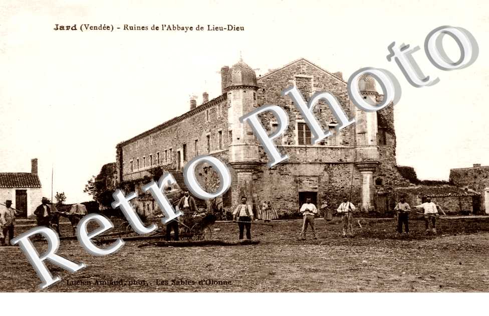 RUINES DE L'ABBAYE