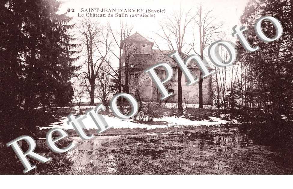 le chateau de Salin