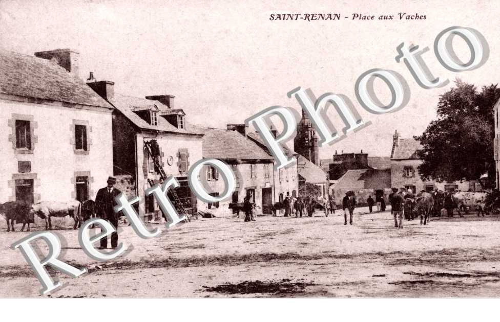 place aux vaches