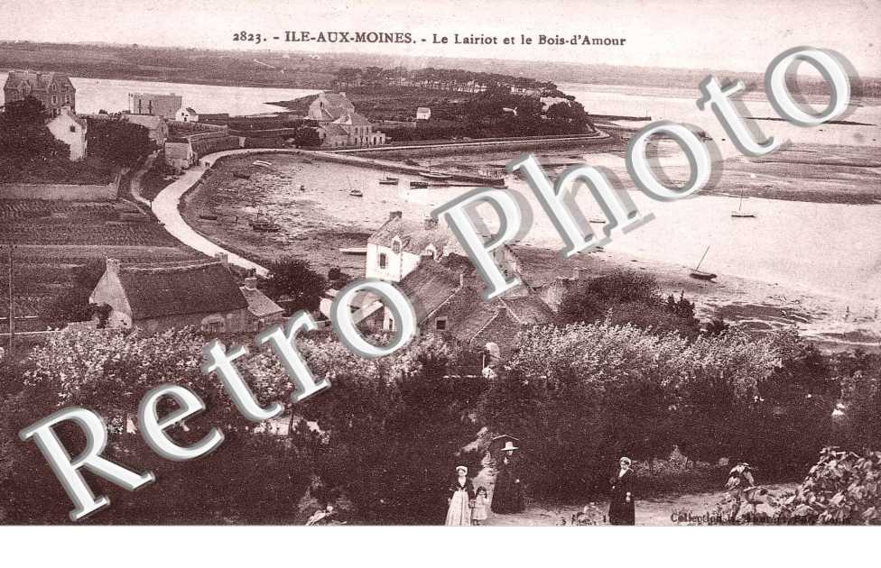 le lairiot bois  d'amour