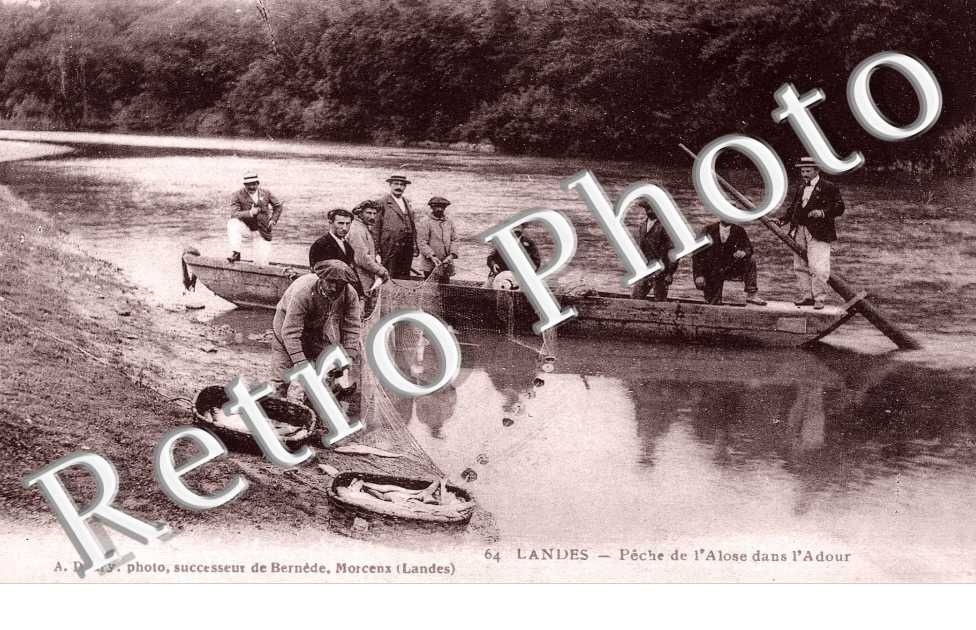 peche de l'alose dans l'adour