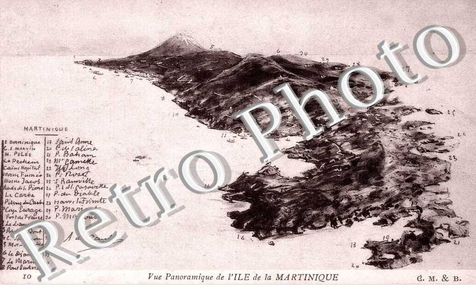 Vue panoramique de l'Ile