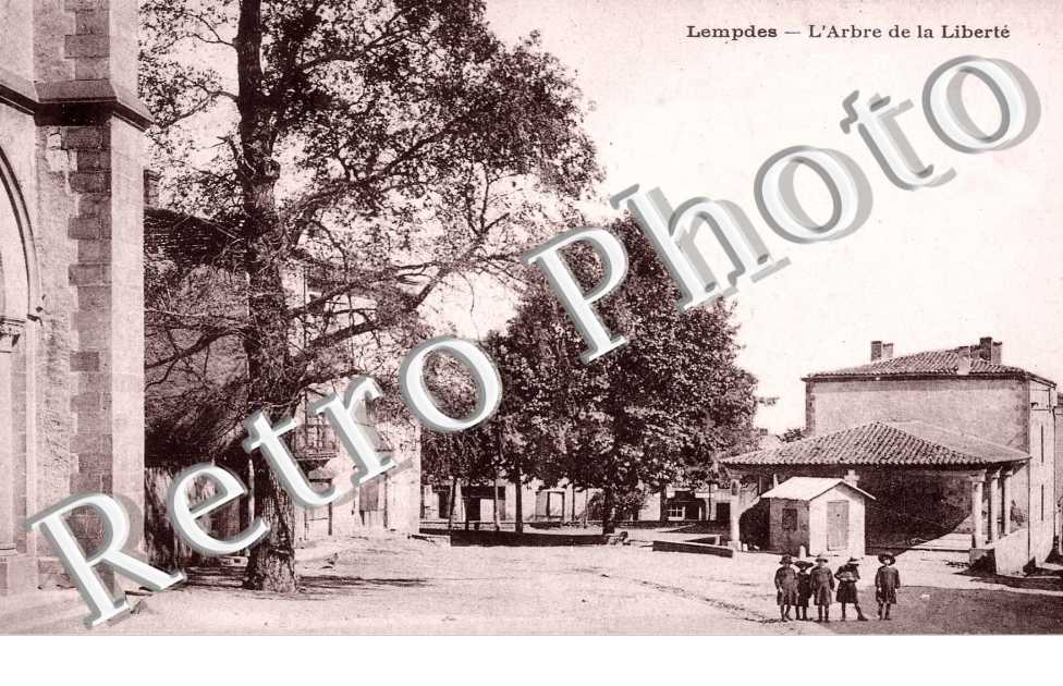 l'arbre de la liberte