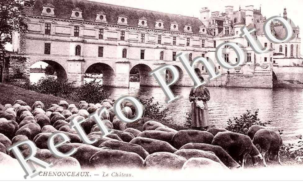 LE CHATEAU - MOUTONS