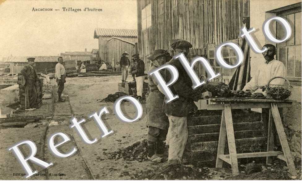 Trillage d'huitres