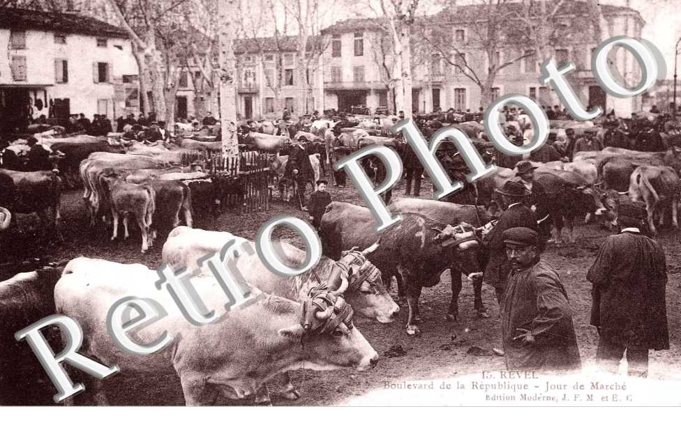 Boulevard de la Republique - jour de marche (animaux)