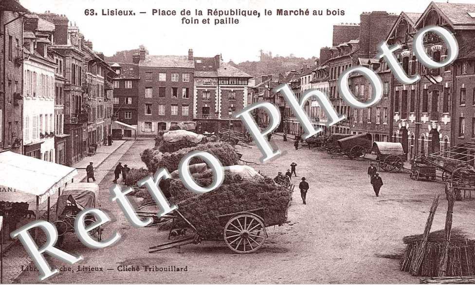 place de la republique, le marche au bois foin et paille
