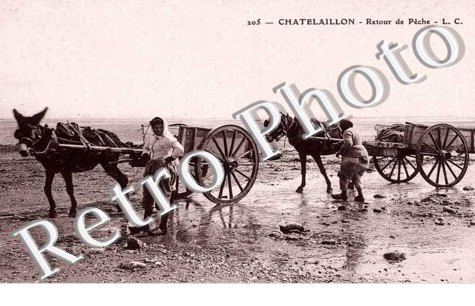 retour de peche