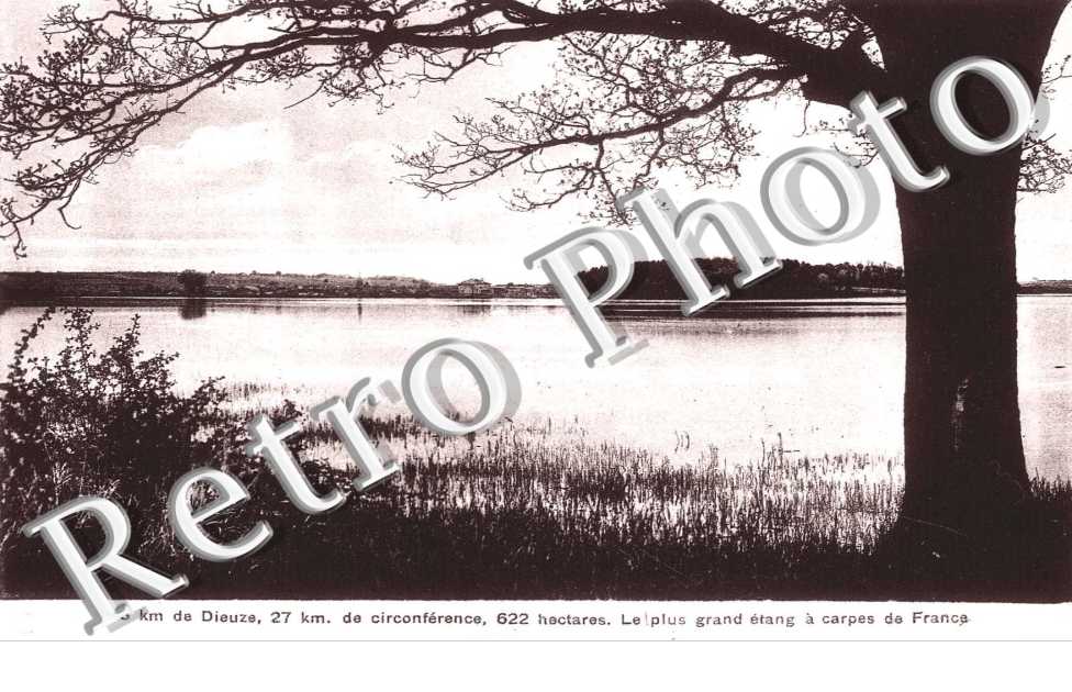 L'Etang