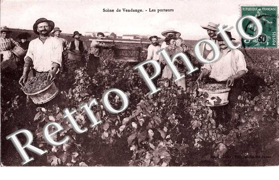 Scene de Vendange, les Porteurs
