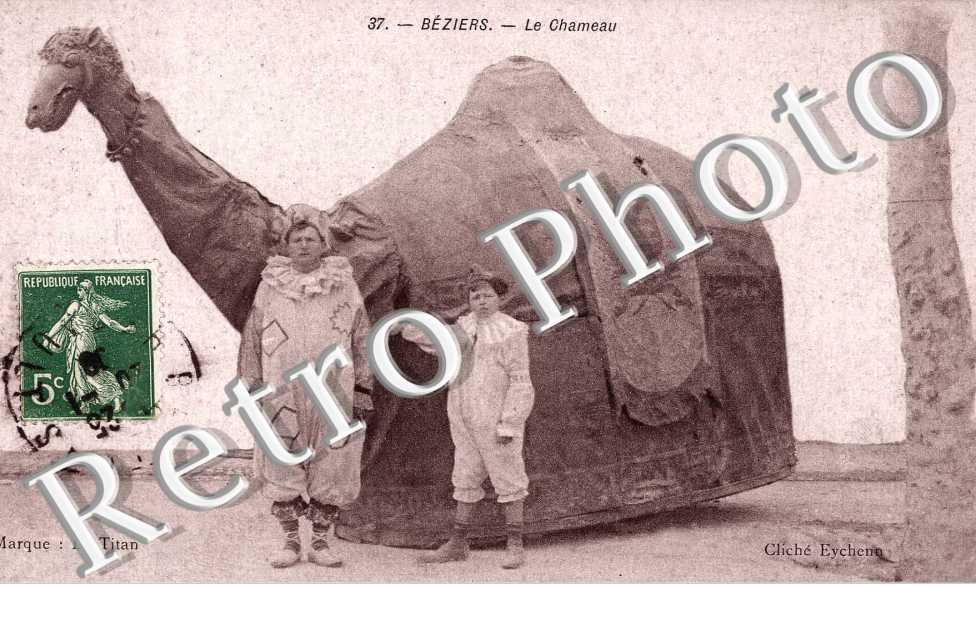 Le chameau