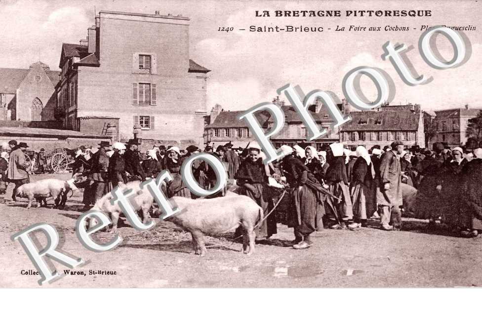 la foire aux cochons- place Duguesclin