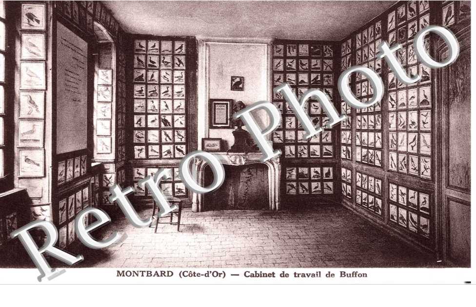 cabinet de travail de Buffon